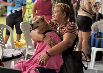 Governo do Amazonas promove ação de castração  solidária de animais no bairro Betânia, zona sul da capital