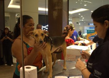 Sepet leva castração, vacinação e adoção de animais ao bairro Jorge Teixeira, dia 28 de março