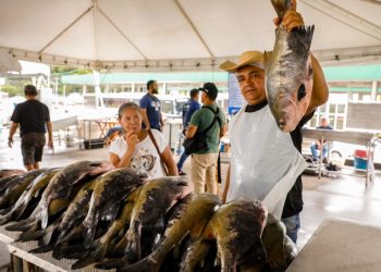 Semana Santa: Governo do Amazonas dá início ao Feirão  do Pescado em dois pontos estratégicos de Manaus