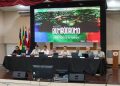 Projeto de modernização do Bumbódromo valoriza tradição  cultural e reforça identidade do Festival de Parintinss