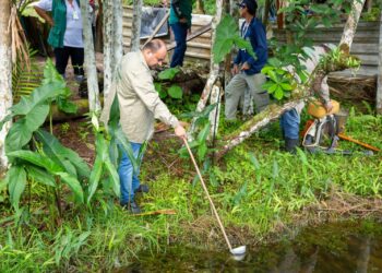 Prefeitura de Manaus alerta para prevenção à malária no  período sazonal da doença e feriados prolongados